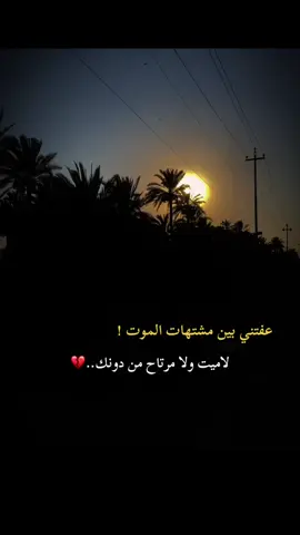 #عباراتكم🥀 #😔💔🥀 #تصويري📷 #تصميم_فيديوهات🎶🎤🎬 #تصويري📷احترافي_الاجواء👌🏻🕊😴 #تصوير_ايفون #المصمم_حسوني🚸🔕 
