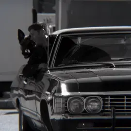 صفكوله كدر يجرحني !! #دين_وينشستر #deanwinchester #supernatural #edit 