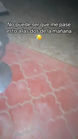 Por qué me pasan estas cosas a mí? Luego no me lo puedo sacar de la cabeza 😞😥🤷🏻‍♀️ #rescate #bebe #reciennacido #marsupial #animalitos 