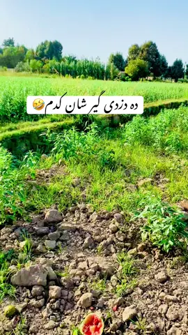 #🤣 #Funy #🤣🤣 