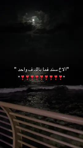 الفيد من amani..1996@ مره كيوت 🥹🥹🤍. 