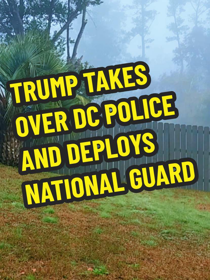 BREAKING: TRUMP TAKES OVER DC POLICE AND DEPLOYS NATIONAL GUARD #fyp #foryou #fyp #viral #fypdong #BREAKINGNEWS #NEWS           AUDIO ORIGINAL: @AaronParnas1 VIDEO ORIGINAL: @SCENICNEWS/RICHARD WEGLARZ  © 2025 AARON PARNAS  © 2025 WEGLARZ TRANSLATION SERVICES 