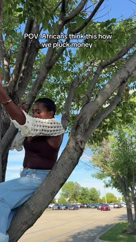 There is so much money on these trees #money#africans#burunditiktok🇧🇮🇧🇮🇧🇮🤩🤩#rwandatiktok🇷🇼#america#fyp#viral#african#onthisdayviralvideo💋twins #explorepage✨ 