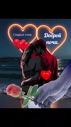 Спокойной ночи 🌜 приятных снов 💞#спокойнойночи 