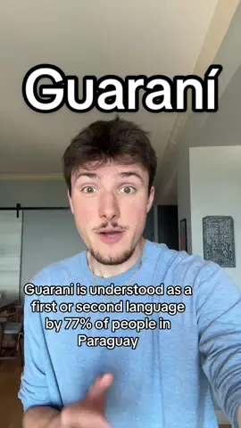 The Guaraní language is, along with Spanish, the most widely spoken language in Paraguay - so let’s learn more about it! #language #education #LearnOnTikTok #guarani #paraguay 