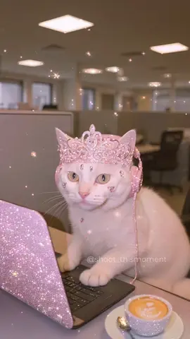 Don’t know what I’m doing, but I look busy💅 . . #cat #kitten #catsoftiktok #glitter #sparkles #aesthetic #pink #pinktok #glitterart #catlover #cattok #catlovers  #monday 