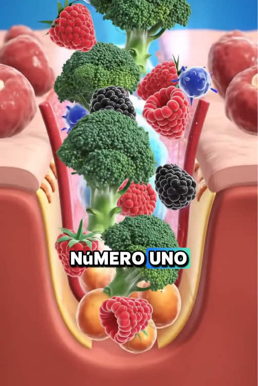 Tres alimentos que aumentan el colágeno de tu piel #colágeno #vitaminac #alimentossaludables #pieljoven #belleza