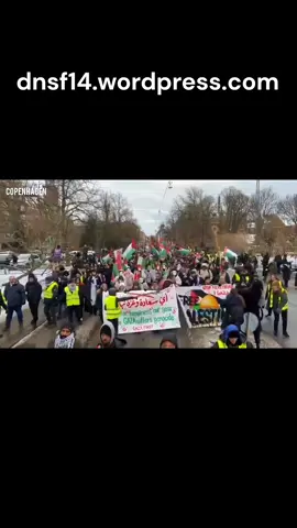 #dnsf #danmark #dansk #fyp 