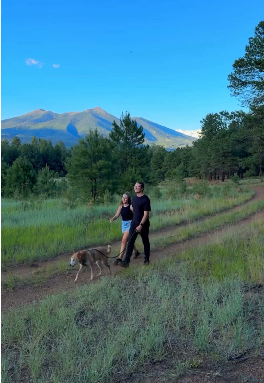 Summer adventures are better with your dog by your side. 🚘🏕️ For the month of August, when you buy a bag of NutriSource or PureVita food at participating retailers, you’ll get a FREE AmpliFull supplement. #NutriSource #DogFoods #NutriSourceDogFood #FoodChanges #HealthyDog  