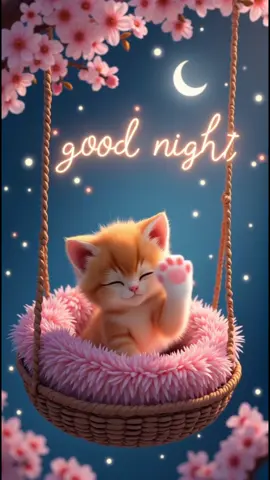 #❤️❤️❤️ #kittylove #goodnight 