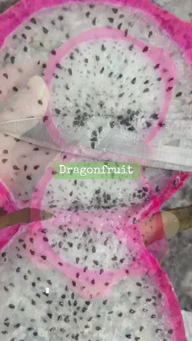 Normally you’d eat this dragonfruit, but apparently now I’m a dragonfruit thief 🐉