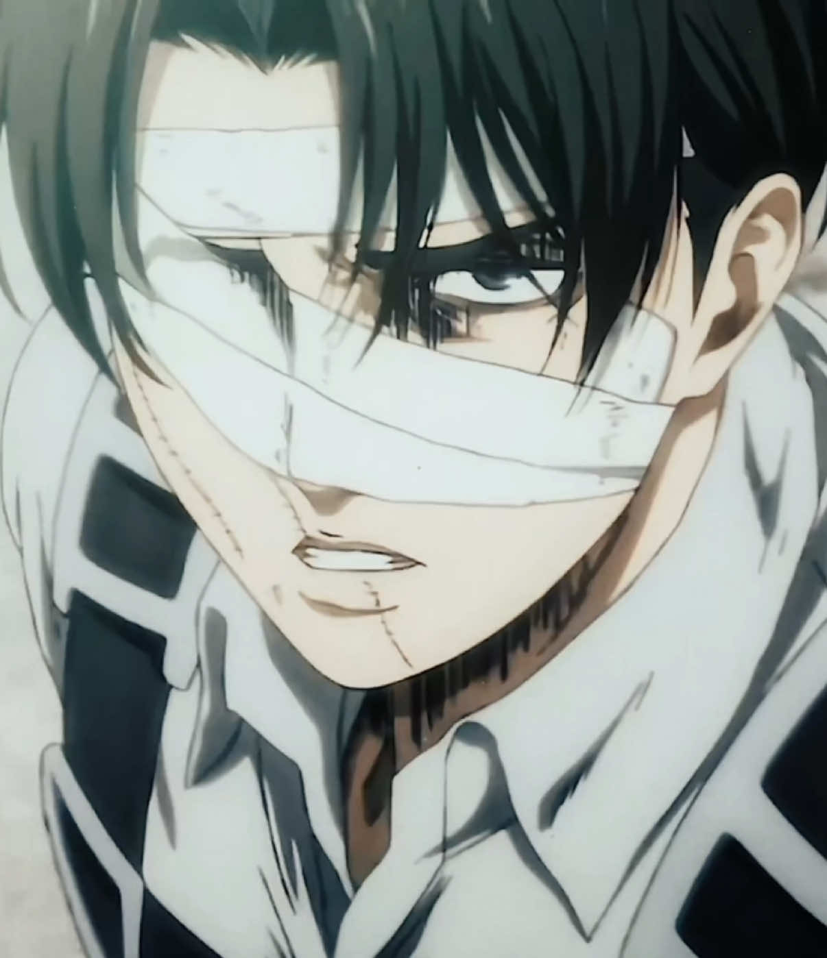 love my 5’3 king [ac @dook] #fyp #foryoupage #edit #videostar #vsp #anime #transitionedit #aot #AttackOnTitan #leviackerman #leviackermanedit 