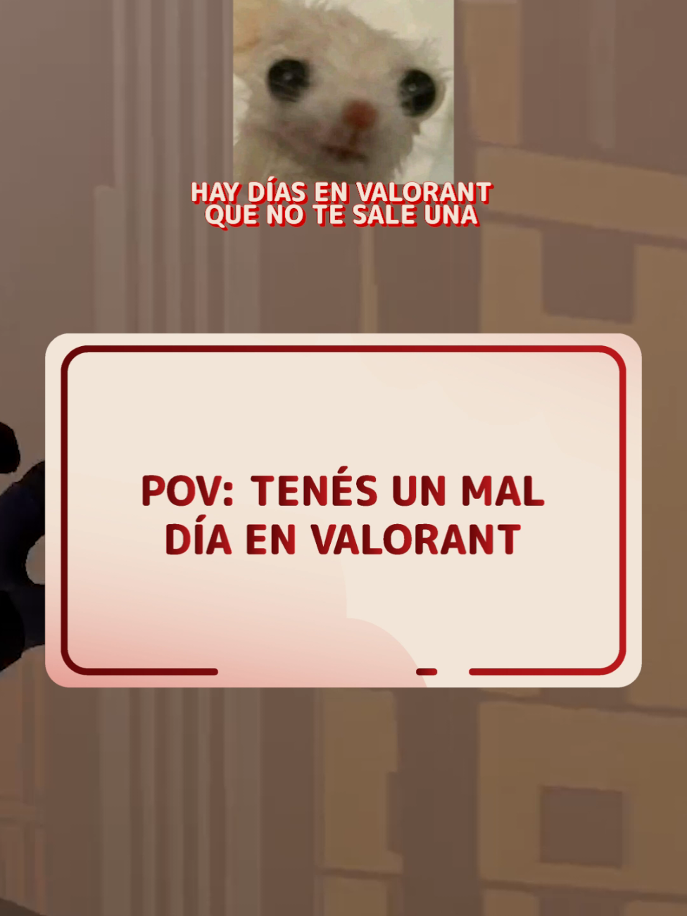 Mis días en Valorant  #Valorant #valo #valorantclips #valorantgracioso #aprilfx 