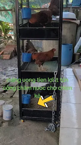 #xuhuong #gatremy #chuonggaghep #viralvideo 