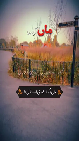 #CapCut #maa #ماں 