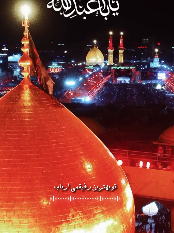 توبهترین رفیقمی ارباب آهای رفیق رفیقتو دریاب...😔💔 #رفیق#دلتنگی#کربلا#یاحسینؑ #بین_الحرمین 