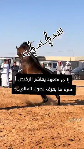 إللي متعود يعاشر الرخيص عمره ما يعرف يصون الغالي😘🦅👌👌👌👌👌👌 #🦅فۣۗہخۣۗہــــ⚔️ـــــــآمۣۗہة👈 