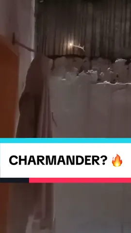 No, this lizard is not charmander. It’s also not generating fire or electricity. It also is not bioluminescence.  Let me explain. 