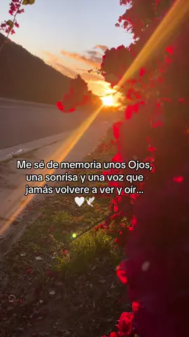 #esposo #memoria #paratiiiiiiiiiiiiiiiiiiiiiiiiiiiiiii #paratii  #fypシ゚viral  #fypage 