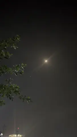 মাঝে মাঝে আমাদের জীবনে শান্তি ছাড়া আর কিছুই প্রয়োজন হয় না #foryou #foryoupage #unfrezzmyaccount #beutifulbd🇧🇩 #viwes 