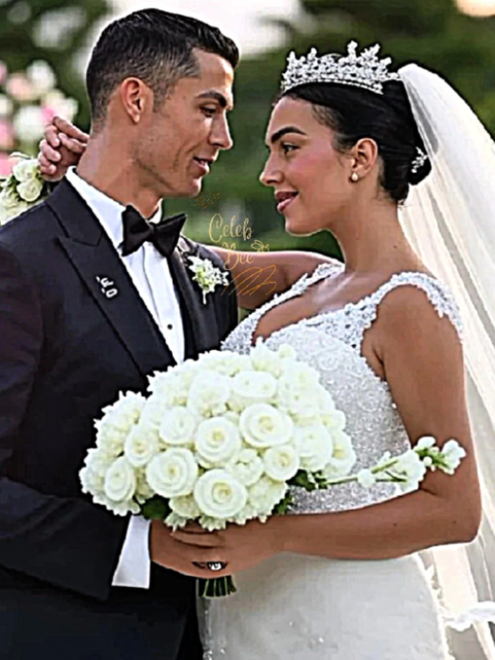#celebbee #goviral #unfreezemyacount #fyp #bollywoodproject #hollywood #cristianos #ronaldo #georgina 