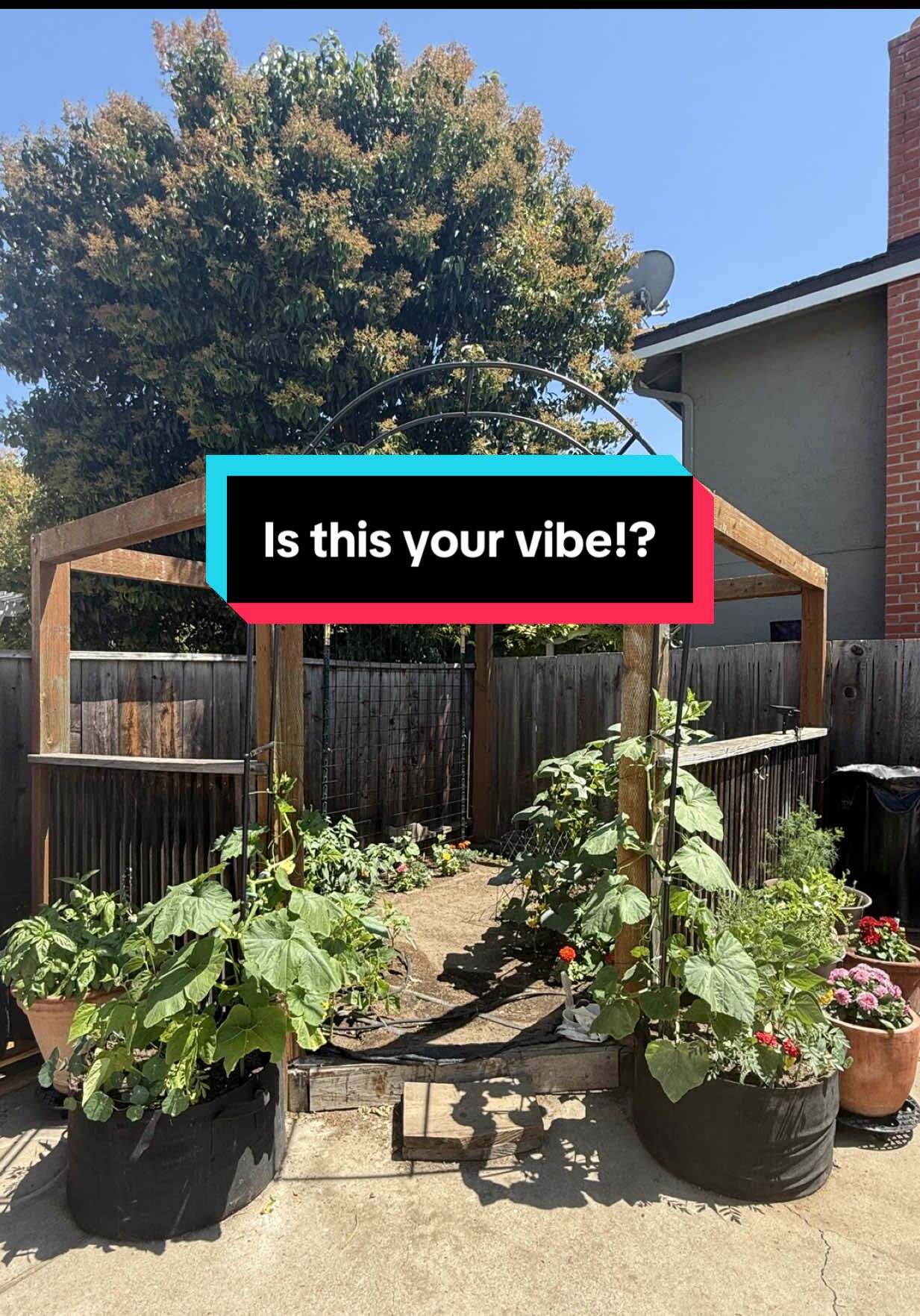 I’m not looking for just any friends. I’m looking for friends with the right vibes! The empathy vibes, the social justice vibes, the gardening is political vibes, you know, 😉 the ones who didn’t vote for him. #GoodVibes 