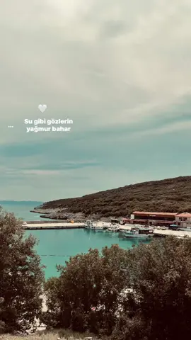 🕊️ #intizar #sugibigözlerin 