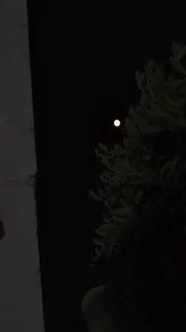 البعض لا يتكرر بحياتنا مرتين...والبعض إن غادر لا يعود ...  وان عاد لا يكن كما كان ...  البعض ينتظرنا بنهاية الطريق ...       و البعض ينظر إلينا من بعيد ...                     وأحدهم رافقك..تعثر معك و إلتقط أنفاسه بجوارك .. و مد قلبه قبل يده لتعرف موضع خطوتك القادمة                     البعض معطف يقيك برد الوحدة ... و البعض مظلة تقيك حرارة ألسنتهم ... و أحدهم جيشك و درعك ولسان حالك ...  فتريث في إختيار الرفيق ... حياتنا مثل الورد فيها من الجمال مايسعدنا وفيها من الشوك مايؤلمنا  ما كان لك سيأتيك رغم ضعفك وماليس لك لن تناله بقوتك.. !!  🕊💗 احساس انسان...#🤍🤍🤍 #🖤🖤🖤 #عباراتكم_الفخمه📿📌 #مجرد________ذووووووق🎶🎵💞 