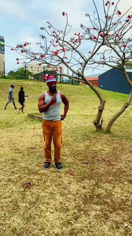 Ije nwoke na South Africa Alili
