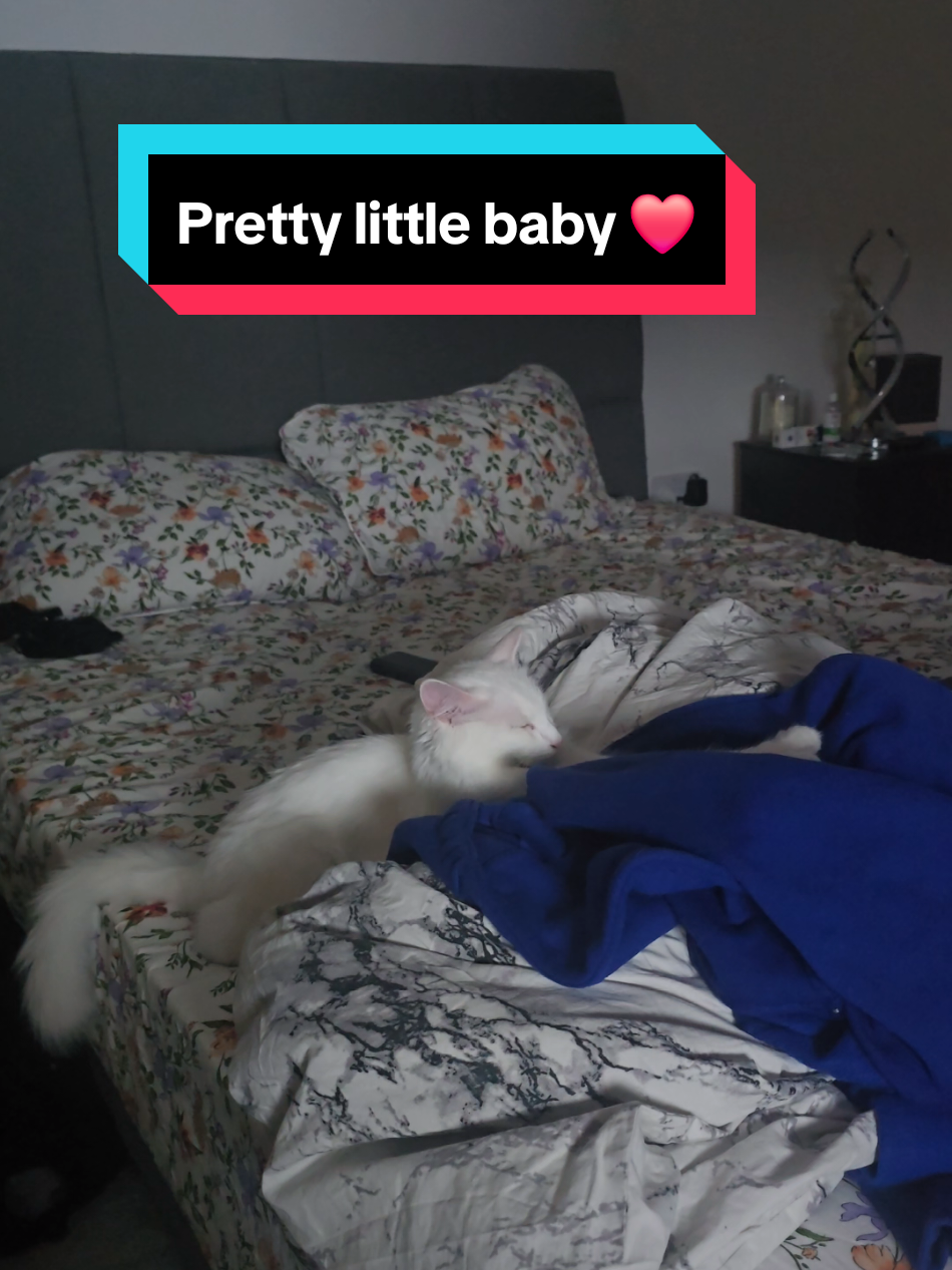 She's so precious 🥰