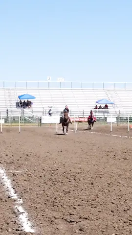 #nsca #fypシ #fyp #omoksee #trending #westernriding #western #horse #equestrian #horsesoftiktok #equine #aqha #olebrandselect 