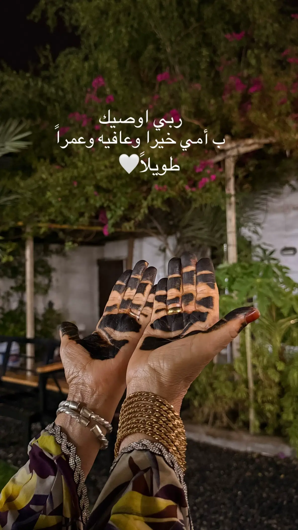 #نجران #اكسبلور #امي 