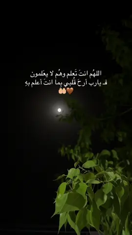 #اللهم_امين #یارب_العالمیــــــــــن🤲🏻🥺 