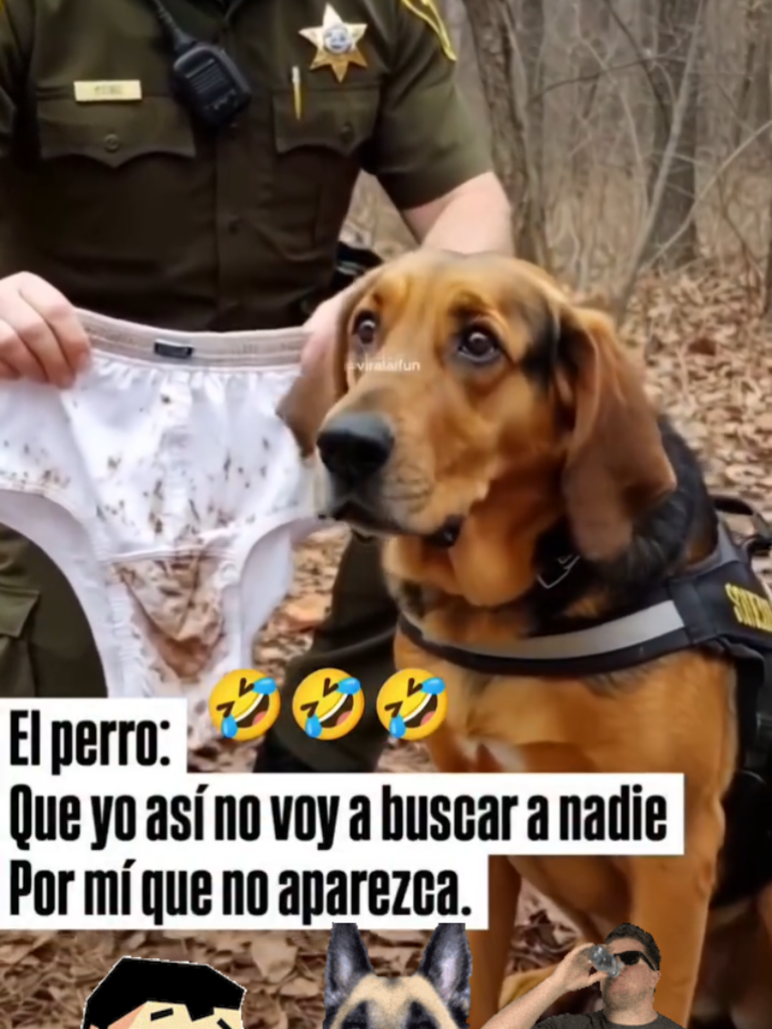 #dogloversoftiktok  #entretenimientoparati  #humor  #perrosgraciosos  #risas #firulais