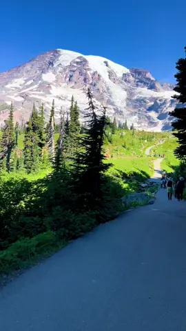 PNW is unreal 🏔️ #hike #mtrainiernationalpark #mtrainier @Kailyn Pennock 