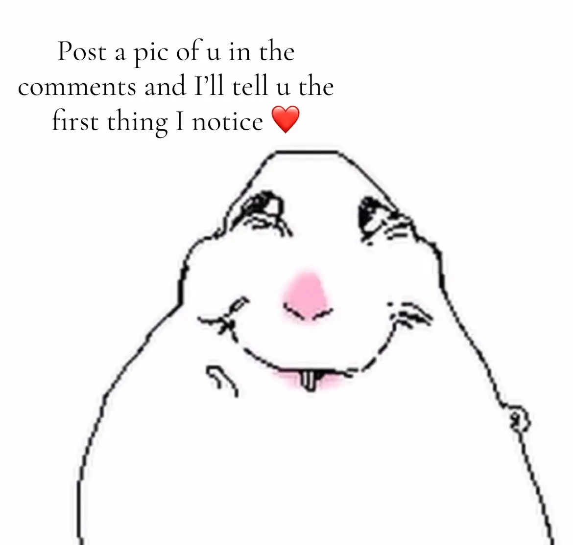 😻