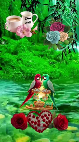 #صباح_الخير #🤲🤲🕋🕋🤲🤲 #صباحكم_معطر_بذكر_الله💚🌹🌿🌷😍🌸🙏 #صباحكم_أحلى_صباح🌹🌹 