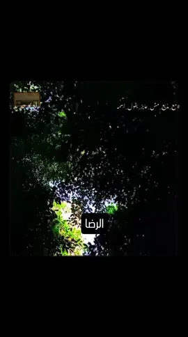 الرضا 🦋 #الرضا #الحمدالله_علی_کل_حال❤  #راحة #طاقه_ايجابيه💜  #راحه_نفسيه  #massage  #voiceover  #voicenote  #راديو_جديد  #راديوجديد  #radiogedid  #مع_مذيع_مش_عايز_يقول_اسمه  #معلق_صوتي 