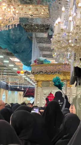 #زياره_الاربعين_مشايه_كربلاء #محرم_1443_ويبقى_الحسين #explorepage #باسم_الكربلائي_عشق_لا_ينتهي #محرم