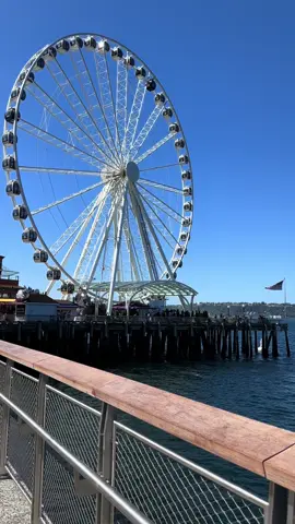 Now where’s Abby… #tlou #seattle 