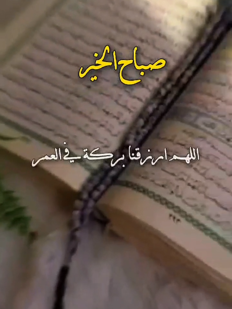 صباح الخير والبركه 🤲🌹🌿❤️اللهم في هذا الصباح يارب اللهم أرزقنا بركة في العمر 🤲🌹🌿❤️ #صباح_الخير #صباحكم_معطر_بذكر_الله #اللهم #امين #يارب🤲 