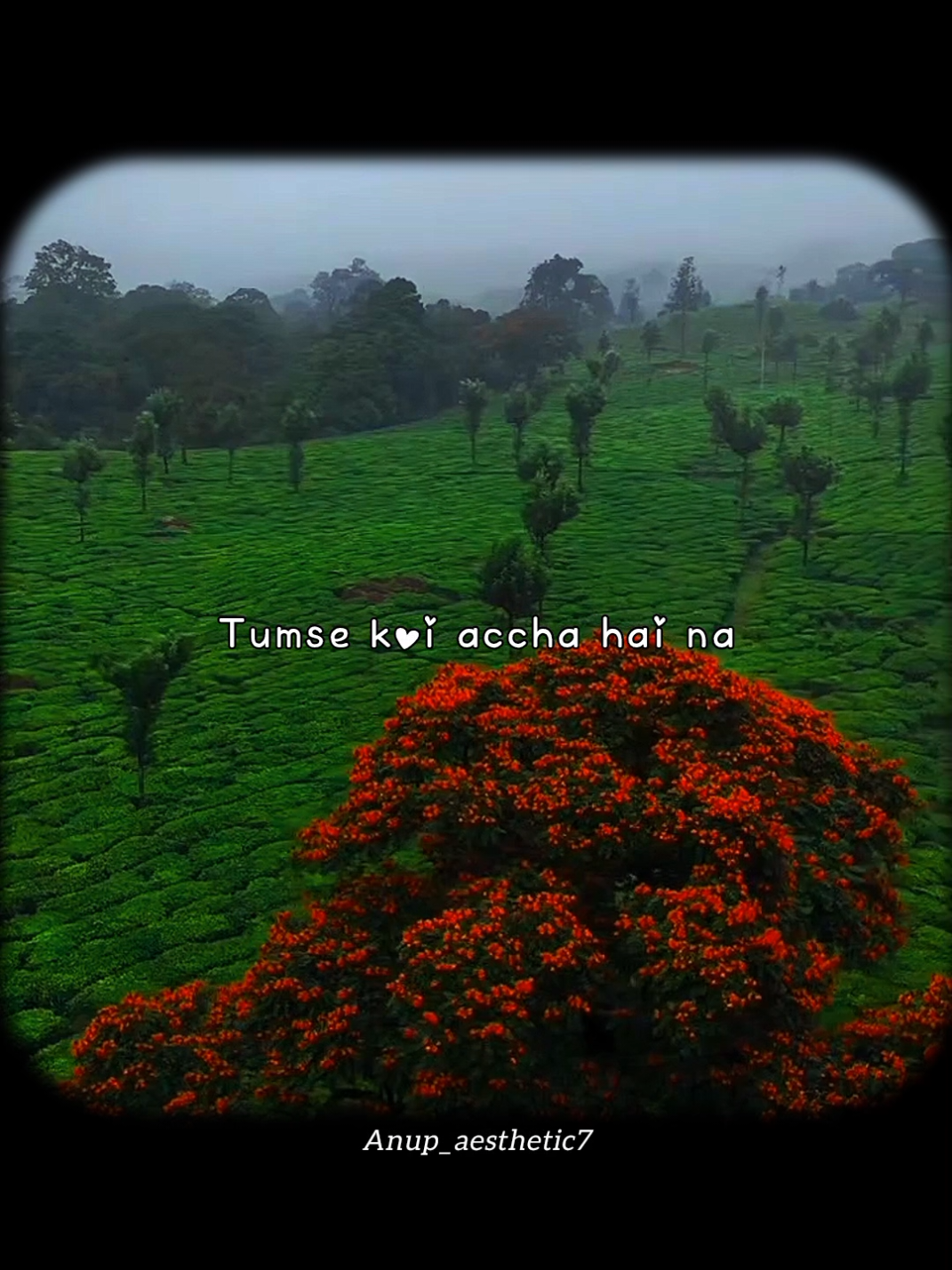 #dekha tumko jabse bas dekha tumko yaara song #new #trendingsong #fyp #hindisong #bollywoodsong #tiktokindia #xyzbca #standwithkasmir #support #growmyaccount #tiktok #anup_aesthetic7 #fypシ゚ 