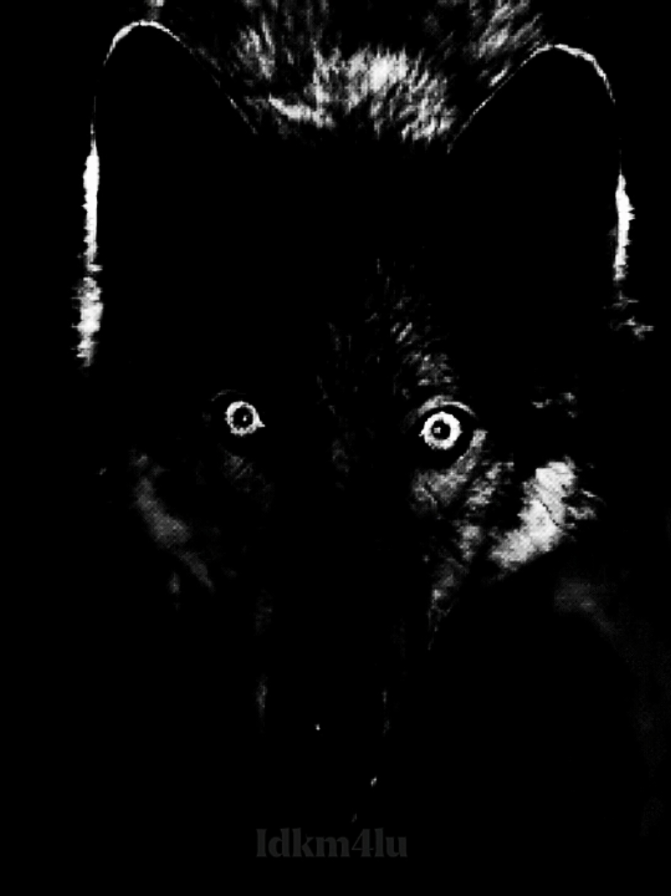 Matte Black. #lyric #g59 #uicideboysmusic #viral #edit 