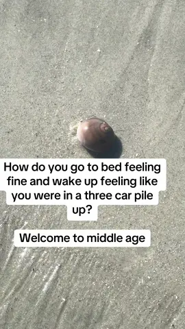 #genx #aging #humor New aches and pains. Random, go to bed fine and wake up with a backache and your third toe hurts. Was I in a three car pile up in my dream?