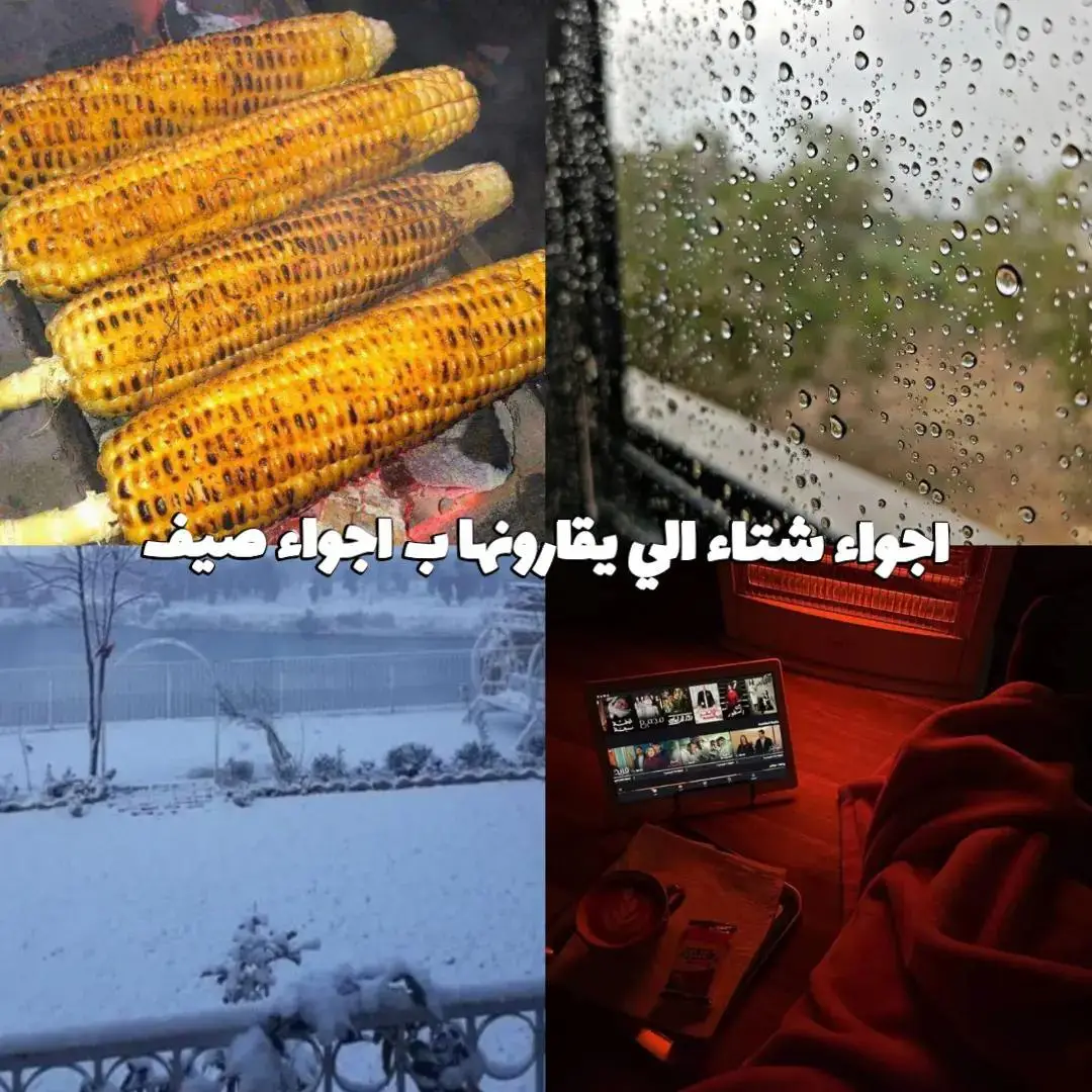الشتاء 🩵#لايكات #الشعب_الصيني_ماله_حل😂😂 #Baghdad #Iraq #fyp #foryou 