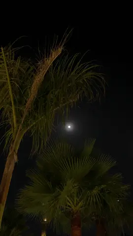 بن فطيس #tyyyyyyyyyyyyyyyyyyyyyyyyyyyyyy 
