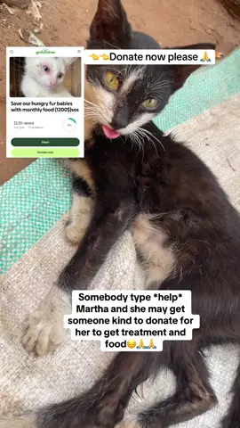 Link in bio to help Martha🙏🙏🙏