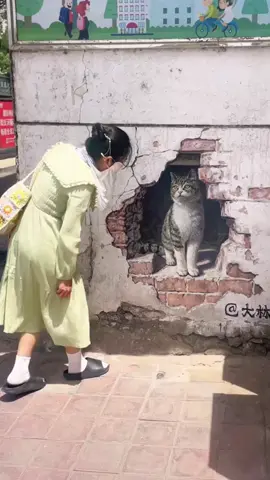 Kitty