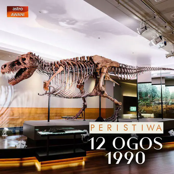 Hari ini 35 tahun yang lalu, rangka hampir lengkap Tyrannosaurus rex (T-rex) ditemukan di South Dakota, AS. Ketika sekumpulan pengkaji dari Institut Kajian Geologikal Black Hills (BHI) bersiap untuk pulang dari ekspedisi mencari fosil dekat pekan Faith, salah seorang daripadanya bernama Susan Hendrickson meneroka tebing berdekatan yang tidak diperiksa mereka.  Dia menemui ada tulang tersembul dari dinding tebing, lantas melaporkannya kepada presiden (BHI), Peter Larson yang mengesahkan ia adalah milik dinosaur jenis T-rex. Kerja ekskavasi segera dimulakan, melibatkan 6 orang & mengambil masa 17 hari.  250 daripada keseluruhan 380 bahagian tulang T-rex yang diketahui berjaya dikeluarkan & dengan panjang lebih 40 kaki serta ketinggian 13 kaki pada pinggul, ia adalah rangka T-rex yang paling hampir sempurna (sekitar 90%) & paling besar yang pernah ditemukan.  Rangka itu dilabel sebagai FMNH PR 2081 & dinamakan ‘Sue’ sempena penerokanya. Pemeriksaan lanjut mendapati ia dari Zaman Cretaceous sekitar 67 juta tahun lalu & Sue dipercayai mati di sekitar penghujung jangka hayat seekor T-rex pada usia 28 tahun.  Namun sejurus penemuannya, bermula perebutan hak pemilikan rangka tersebut. Akhirnya mahkamah memutuskan ia milik Maurice Williams, tuan tanah tempat ia ditemukan, yang kemudian menghubungi Sothesby’s, sebuah badan broker barangan, untuk dilelong. Pada 4 Oktober 1997, fosil purba itu sah dijual kepada pembida tertinggi iaitu The Field Museum (disokong California State University, McDonald’s Corporation, Walt Disney World Resort & penyumbang persendirian) pada harga USD 8.4 juta.  Sue dibawa ke Field Museum di Chicago & kerja mempersiapkan rangka tersebut dimulakan. Akhirnya selepas memakan masa lebih daripada 30,000 jam (tambahan lagi 20,000 jam untuk menyiapkan pameran), Sue mula dipamerkan kepada pengunjung pada 17 Mei 2000.  Pada 2009, pengkaji mendapati Sue mati kerana kebuluran disebabkan jangkitan parasit pada mulut & tekaknya yang begitu teruk sehingga menyebabkan rahangnya berlubang.  Sumber: Field Museum, History, Live Science #PeristiwaHariIni