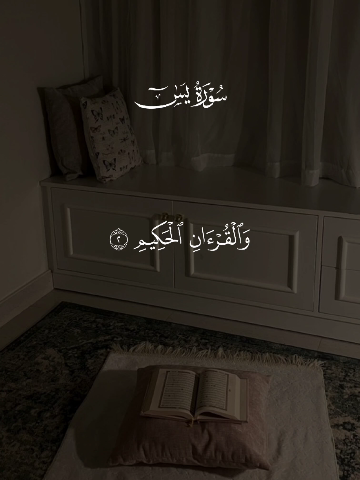سورة يس 🤍 #quran #القران #quran_alkarim #القران_الكريم #qu_ran_n #تلاوة_خاشعة #qu_ran_n؛؛قرآن #chahr_205 #اجر_لي_ولكم #islamic_video #صدقه_جاريه #quran_114st #القرآن #اللهم_صلي_على_نبينا_محمد 